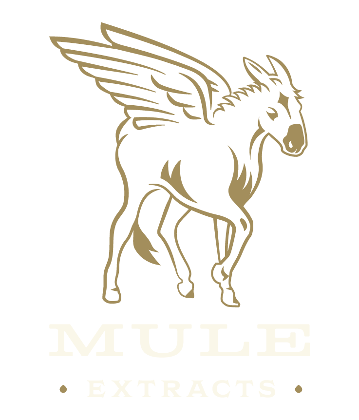 https://lamota.com/wp-content/uploads/2026/03/Mule-Extracts.png