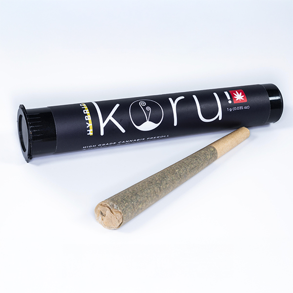 1761698563634Koru-Single-Preroll-3 https://lamota.com/wp-content/uploads/2026/04/1761698563634Koru-Single-Preroll-3.jpg