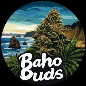 Baho Buds https://lamota.com/wp-content/uploads/2026/04/Baho-Buds-300x300.png