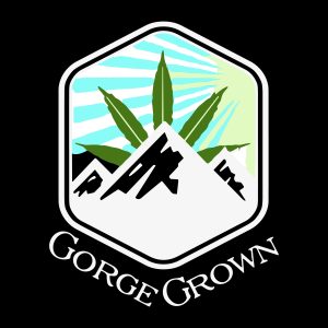George Grown https://lamota.com/wp-content/uploads/2026/04/George-Grown-300x300.jpg
