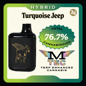 2g_Turquoise_Jeep_MTEC https://lamota.com/wp-content/uploads/2026/05/2g_Turquoise_Jeep_MTEC-300x300.png