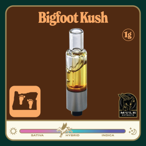 https://lamota.com/wp-content/uploads/2026/05/Bigfoot_Kush_PLR-300x300.png