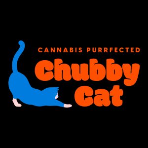 Chubby Cat https://lamota.com/wp-content/uploads/2026/05/Chubby-Cat-300x300.jpg