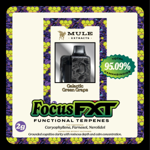 FocusFXT-AIO-MenuImage-OR https://lamota.com/wp-content/uploads/2026/05/FocusFXT-AIO-MenuImage-OR-300x300.png