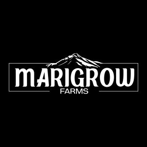 https://lamota.com/wp-content/uploads/2026/05/Marigrow-300x300.jpg