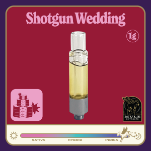 https://lamota.com/wp-content/uploads/2026/05/Shotgun_Wedding_PLR-300x300.png