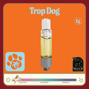 https://lamota.com/wp-content/uploads/2026/05/Trop_Dog_PLR-300x300.png