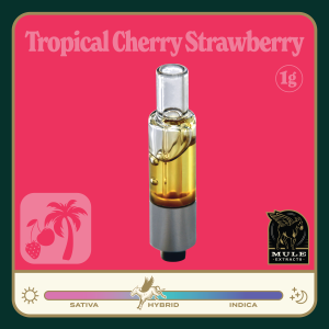 https://lamota.com/wp-content/uploads/2026/05/Tropical_Cherry_Strawberry_PLR-300x300.png