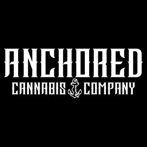 Anchored https://lamota.com/wp-content/uploads/2026/06/Anchored-300x300.jpg